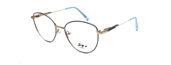 JOY 3946 C2