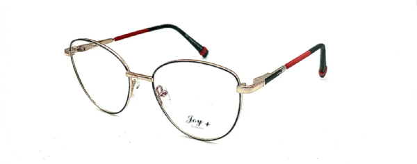 JOY 3946 C1