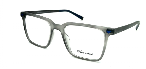 VICTOR 3695 C2