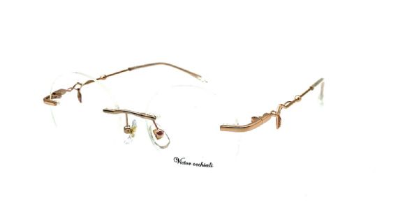 VICTOR 2762 C1 פריימלס